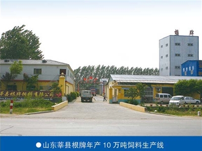 山东莘县根牌年产10万吨饲料生产线