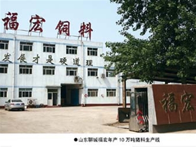 山东聊城福宏年产10万吨猪料生产线